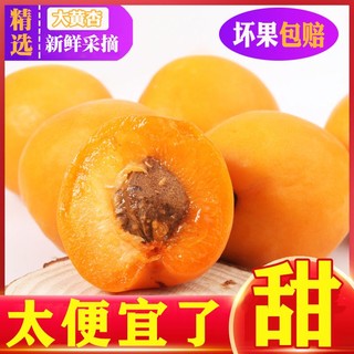 【高档彩箱】放软吃杏子水果新鲜水果水果陕西大黄杏4.8斤
