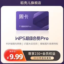 WPS超级会员Pro套餐周卡7天pdf转word排版官方正版PPT模板海报