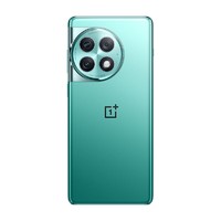 百亿补贴：OnePlus 一加 ACE 2 Pro旗舰5G智能游戏拍照手机ACE2pro