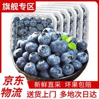 blueberry 蓝莓 呈鲜菓农 国产蓝莓 新鲜大果蓝莓 当季时令水果生鲜 送礼物推荐 精选果经约15-18mm 6盒