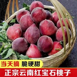 莫小仙 云南新鲜头茬 红宝石桃子 5斤装