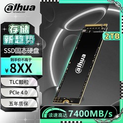 Dahua 大华 da hua 大华 Dahua 大华 da hua 大华 C970 Plus 固态硬盘 2TB PCIe 4.0