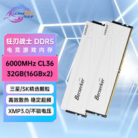 新乐士新乐士（SAMNIX）台式机内存条 32GB(16GBx2)DDR5 6000Mhz C36 白色 原厂颗粒 狂刃战士电竞游戏