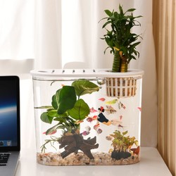 SQG金魚缸家用小型生態魚缸高清透明塑料有蓋辦公桌橢圓形水族箱