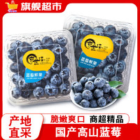 京世泽 当季高山蓝莓 新鲜蓝莓水果 8盒装125g/盒 14mm以下【中果】