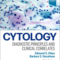 Cytology 细胞学 病理 英文进口原版