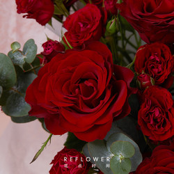 REFLOWER 花点时间 情人节520玫瑰礼用送女友老婆真花-9枝红玫瑰花束 5月19日-21日期间收花