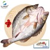 仙泉湖 三去白蕉海鲈鱼 400g*1条净膛冷冻刺少肉厚地标特产海鲜水
