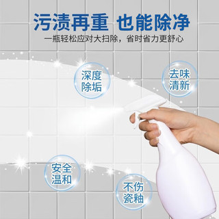 家可美（jiakemei）瓷砖清洁剂强力去污去黄垢卫生间厕所地板地砖去除顽固污渍清洗液 瓷砖清洁剂5斤*1桶