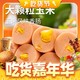 yurun 雨润 香甜玉米肠 224g*3袋共24根（6.24到期）