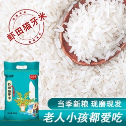 乡谷坊 虾田猫牙米5kg长粒香新米煲仔饭长粒米50斤丝苗米