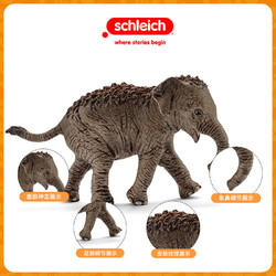 Schleich 思乐 动物模型儿童野生动物仿真模型玩具非洲小象14763