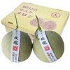 山东玫珑网纹甜瓜 4.5斤 高品质高甜度