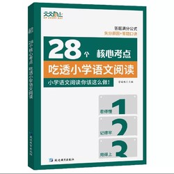 《28个核心考点，吃透小学语文阅读》