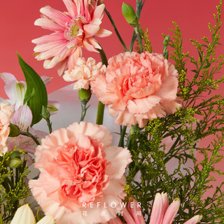 花点时间（Reflower）520玫瑰鲜花花束实用插花真花-坚 香槟色设计款花束【诗意告白】 5月19日-21日期间收花