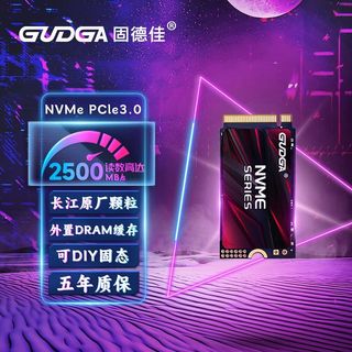 M.2 NVMe 固态硬盘 256GB PCle3.0