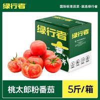 88VIP：GREER 绿行者 普罗旺斯西红柿 2.5kg