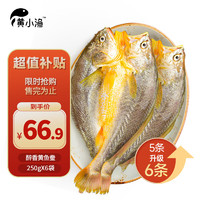 黄小渔醇香黄鱼鲞250g*6条（净重1.5kg）大黄花鱼生鲜水产鱼类源头直发