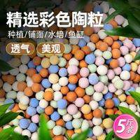 GC 格彩 鱼缸水培养花铺面透气小碎石花盆垫底装饰摆件盆栽石