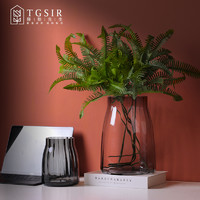 TGSIR 藤格先生 创意现代简约透明玻璃花瓶北欧客厅电视柜水养鲜花植物插花器摆件