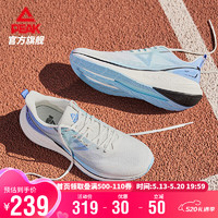 PEAK 匹克 态极骋风跑步鞋男鞋夏季轻便减震透气休闲运动鞋子男DH410037