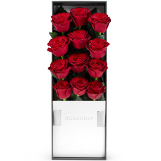 諾誓ROSEONLY经典钟情鲜花玫瑰礼盒鲜花速递女友520 钟情-12枝-红色