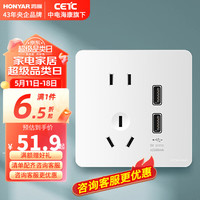 HONYAR 鸿雁 鸿雁开关插座面板X5系列白色10A二三插五孔双USB充电86型暗装墙壁