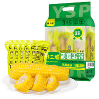 88VIP：野三坡 新鲜采摘黄糯玉米糯玉米8棒真空粘糯玉米苞米白糯玉米杂粮