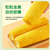 88VIP：十月稻田 五常鲜食玉米