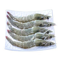 新鲜速冻 超大 厄瓜多尔白虾盐冻大虾 （40-50） *4斤