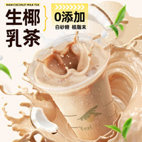Nanguo 南国 徐大漂亮生椰乳茶海南特产港式奶茶椰奶饮料饮品HD