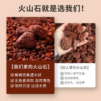 88VIP：DWD 德沃多肥料 德沃多火山岩鱼缸专用生态造景水族箱垫底砂颗粒