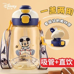 Disney 迪士尼 儿童水杯带吸管两用塑料杯学生便携防摔杯子宝宝水壶大容量