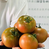 京百味铁皮西红柿草莓西红柿番茄4斤生鲜新鲜采摘蔬菜源头直发