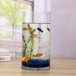 梦雷宠 圆柱形鱼缸金鱼缸 玻璃 水族箱小型创意生态
