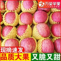 百亿补贴：万荣苹果 水果红富士苹果4.5/8斤礼盒装冰糖心丑苹果