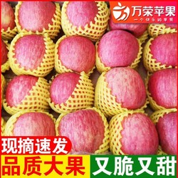 万荣苹果 水果红富士苹果4.5/8斤礼盒装冰糖心丑苹果
