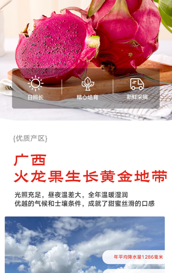 seafood 京鲜生 红心火龙果 6粒装 单果300g 优选中果 国产树熟 新鲜