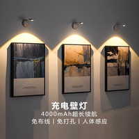 优丽美家小山丘充电式射灯免打孔背景墙壁画免布线人体感应卧室壁灯床头灯 【三色变光款4000毫安】 充电触摸开关