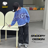 史努比（SNOOPY）儿童衣服春季男童卫衣外出休闲男孩上衣 S炫彩字母深紫140