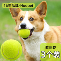 Hoopet 华元宠具（hoopet）狗狗玩具网球耐咬磨牙自嗨解闷神器中大型犬消耗体力宠物用品神器