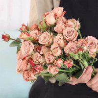 SHIRAN 时染 头玫瑰鲜花批发蔷薇小玫瑰水养花婚庆花店用花 橙色芭比1支