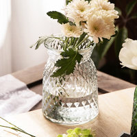 极度空间 玻璃花瓶客厅摆件桌面装饰水培插花透明玻璃花瓶布袋型