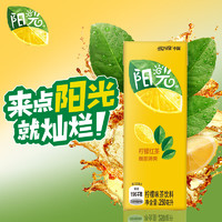 Fanta 芬达 可口可乐（Coca-Cola）阳光柠檬味茶饮料250ml