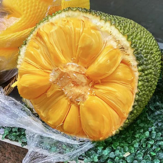 海南黄肉菠萝蜜 20-25斤/1个