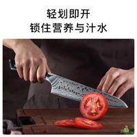 tuoknife 拓 牌家用切菜刀厨师刀日本进口大马士革钢厨刀不锈钢料理刀切片刀
