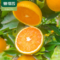 88VIP：誉福园 秭归脐橙5斤装新鲜橙子应季新鲜水果酸甜多汁包邮