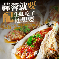 zhenxian 臻鲜 香辣味蒜蓉酱250g瓶装火锅调料烤生蚝扇贝小龙虾蘸料