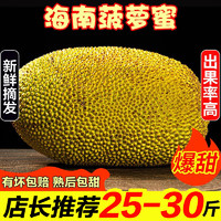 禧友鲜海南菠萝蜜整个 黄肉干苞 波罗密 大树木菠萝 三亚当季新鲜水果 25-30斤|大果 果多肉厚