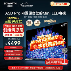 SKYWORTH 创维 电视 65A5D Pro 65英寸液晶电视